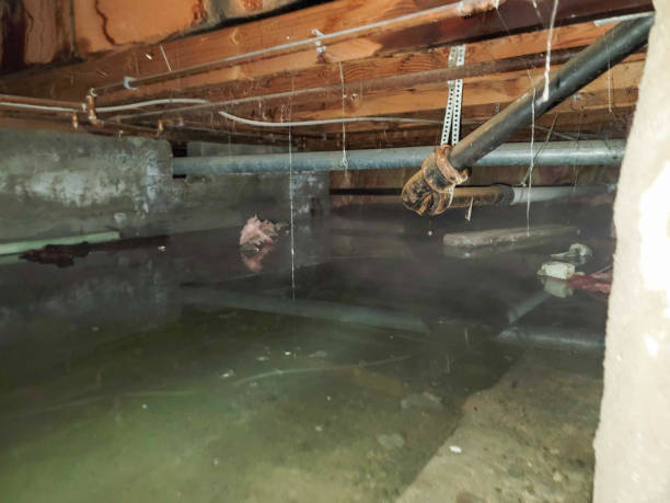 Best 24-hour water damage restoration  in Rosaryville, MD