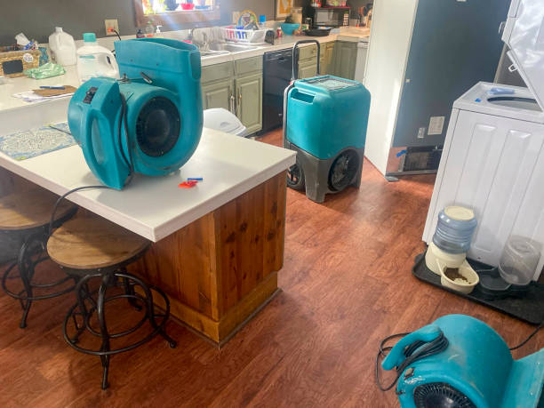 Best Flood damage cleanup  in Rosaryville, MD