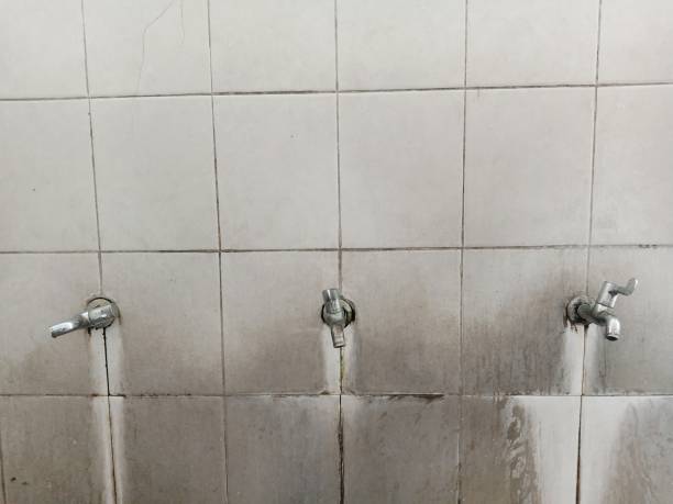 Best Water damage restoration services  in Rosaryville, MD