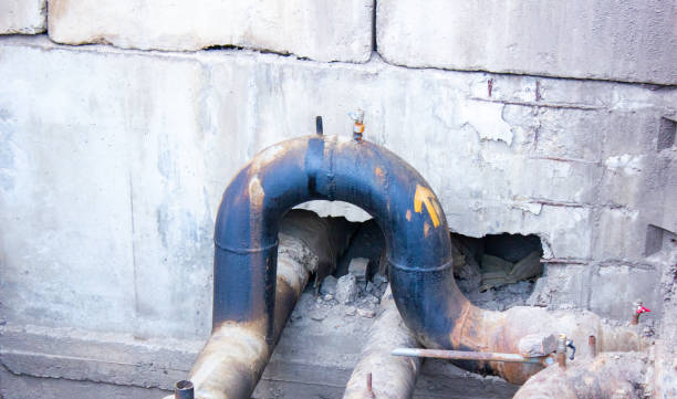 Best Local water damage restoration  in Rosaryville, MD