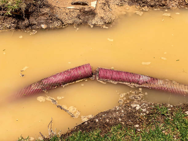 Best Carpet water damage restoration  in Rosaryville, MD