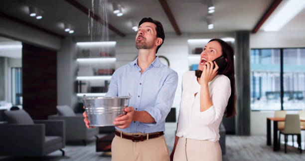 Best Water damage contractors near me  in Rosaryville, MD